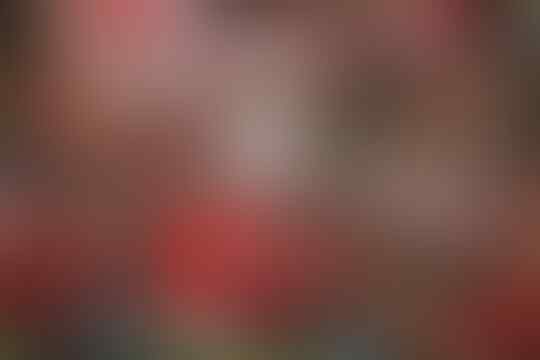 3 Jenis Fans Paling Fanatik, Militan Dan Terkuat Di Indonesia! Kamu Termasuk?
