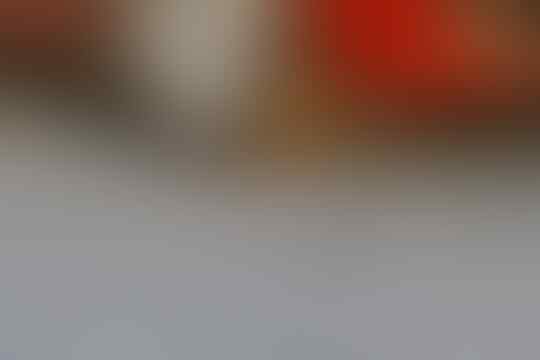 Inilah Genre Favorit Disturbing Picture (Versi TS).
