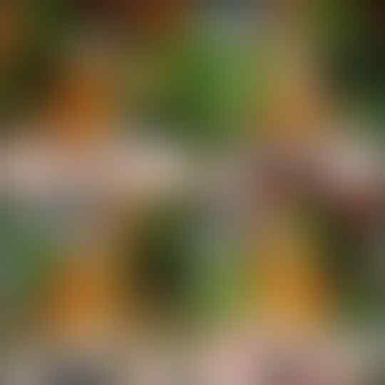 LELANG #644= OB 20K SINGKAT!! CLOSE SABTU 31/12 @22:12