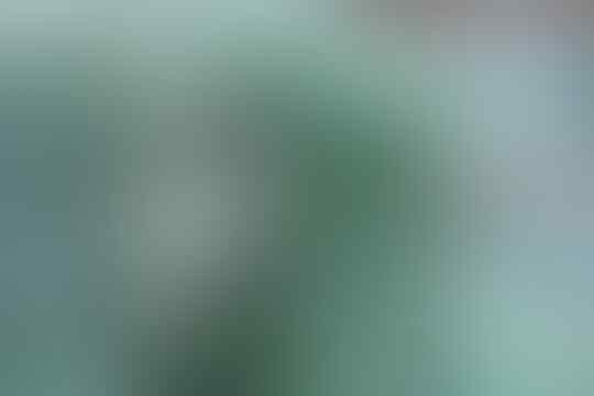 Apa Yang Harus Dilakukan Jika Terjadi Ledakan Nuklir Dahsyat?