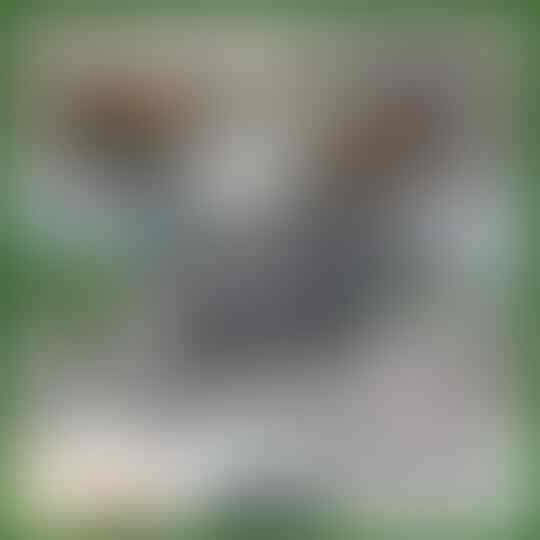 Mengapa di Sekolah Tak Diajarkan Cara Melapor Pada Polisi?