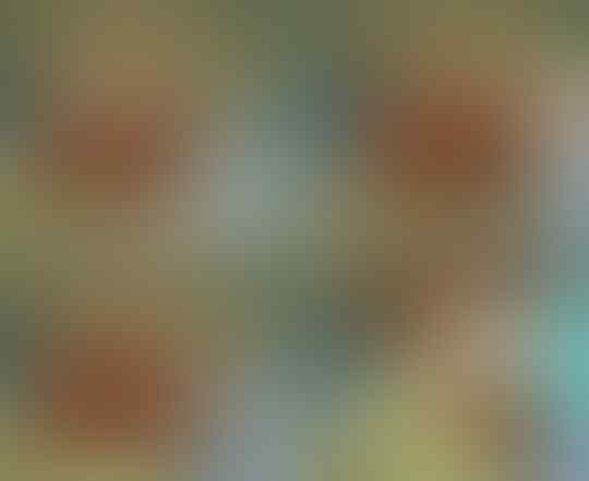 Berkaca dari Kasus Lina Mukherjee, Ini Dia Bahayanya Bahas dan Singgung Tentang SARA