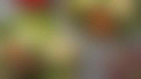 Viral Bisnis Menantea Jerome Poline Dianggap Penipuan, Modal Rp 400 Juta Tapi Cuma