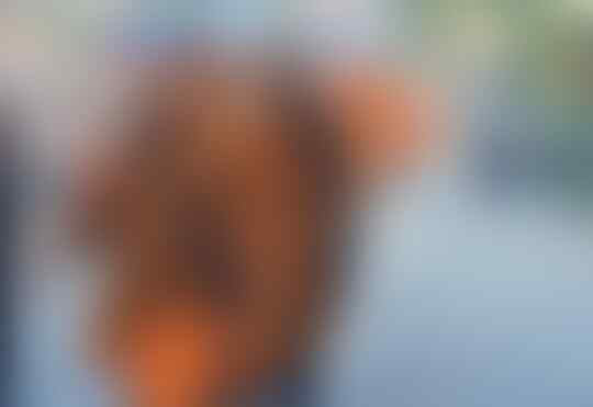 Baiknya Orang Tegal Sampai Bikin Biksu Thailand Menangis, Jadilah Seperti Orang Tegal