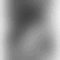 profile-picture