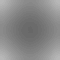 profile-picture