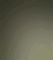 profile-picture