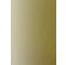 profile-picture