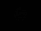 profile-picture