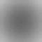 profile-picture