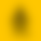 profile-picture