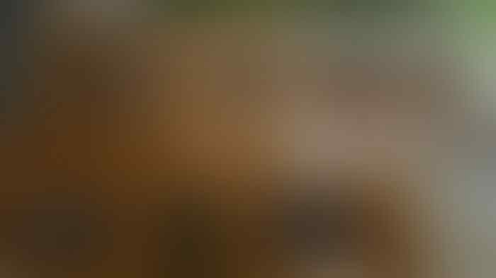 Misteri Rumah Tanpa DP Di Jakarta Yang Belum Terungkap Dan Terbongkar