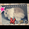 momok