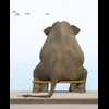 gajahduduk
