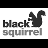 BlackSquirrel