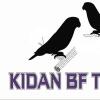 kidan