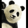 panda112233
