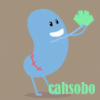 cahsobo
