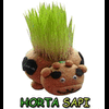 boneka horta