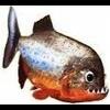 PredatorFish
