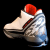 Air Jordan XXII