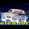 eleanor666