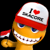 skacore