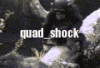 quad_shock