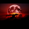 redmoon1973