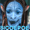 SiCoePoe