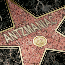 antzmaniac