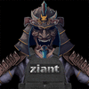 ziant1207