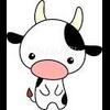 funnie.mooo