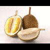 Duriankuning