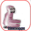 mumo351