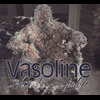 Vasoline