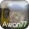 awan77