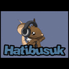 hatibusuk