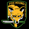 foxhound2879