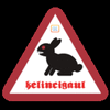 kelincigaul