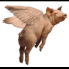 superflyingpig
