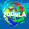 Zoomla