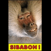 sibabon