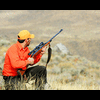 Huntering