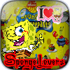 spongelovers