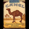 maniak.camel