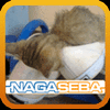 nagaseba