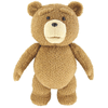 ted21