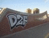 Dafz12
