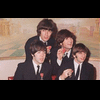 Beatleskaskuser